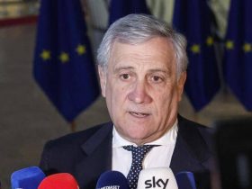 The Italian foreign minister has warned that the country is in danger from attacks by anarchists from around the world